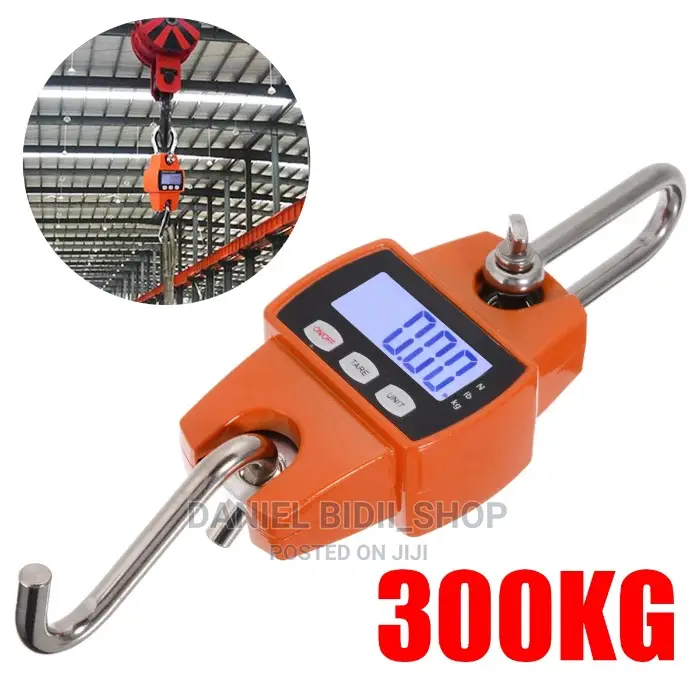 300kg Mini Crane Scale