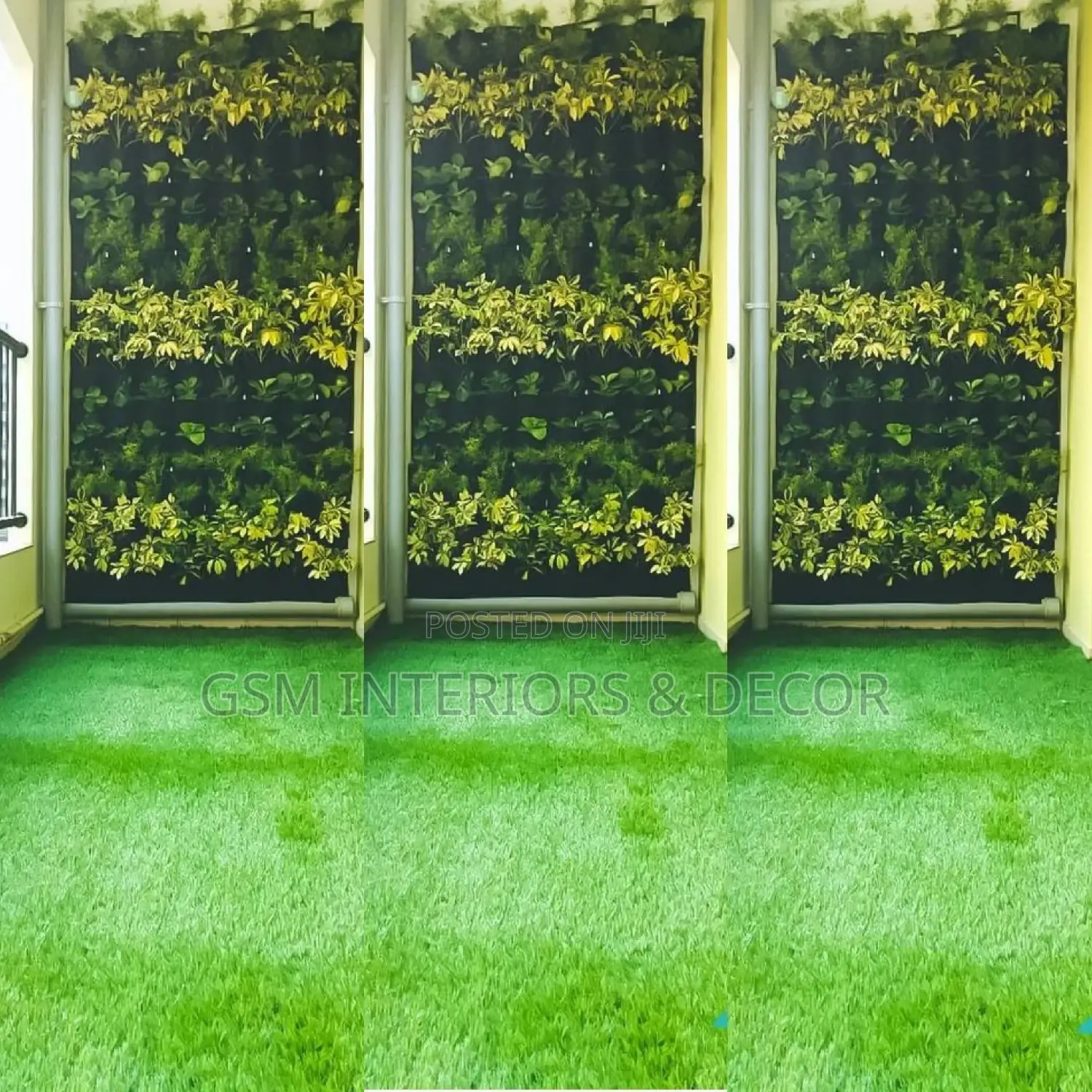 Grass Carpet Grass Carpet Grass Carpet Grass Carpet Grass
