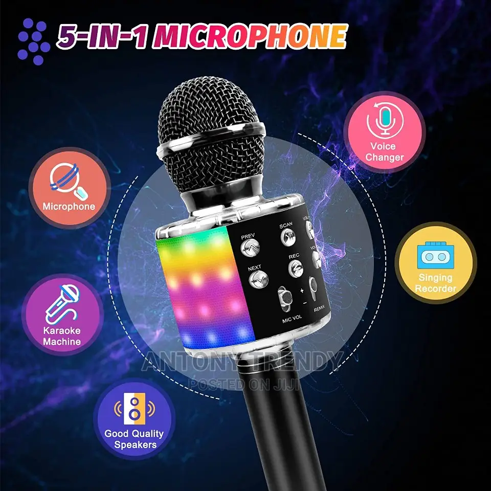 4 In 1 Wireless Portable Karaoke Microphone With Speaker