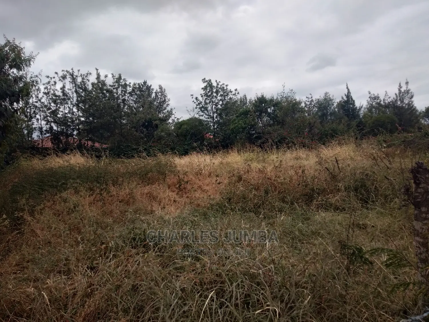 Prime Upper Valley Plot