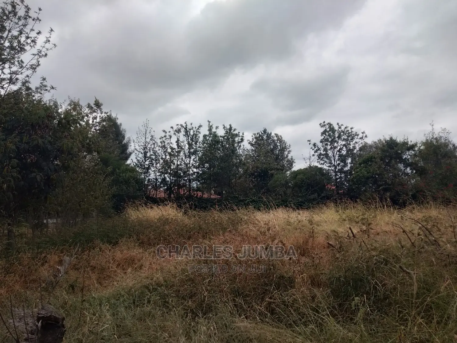 Prime Upper Valley Plot