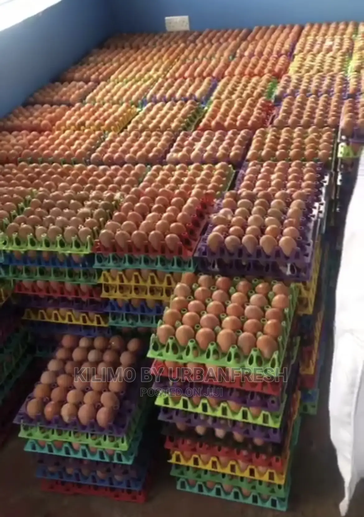 Table Eggs : Layers , Improved , Pure Kienyeji. Moq 10 Trays