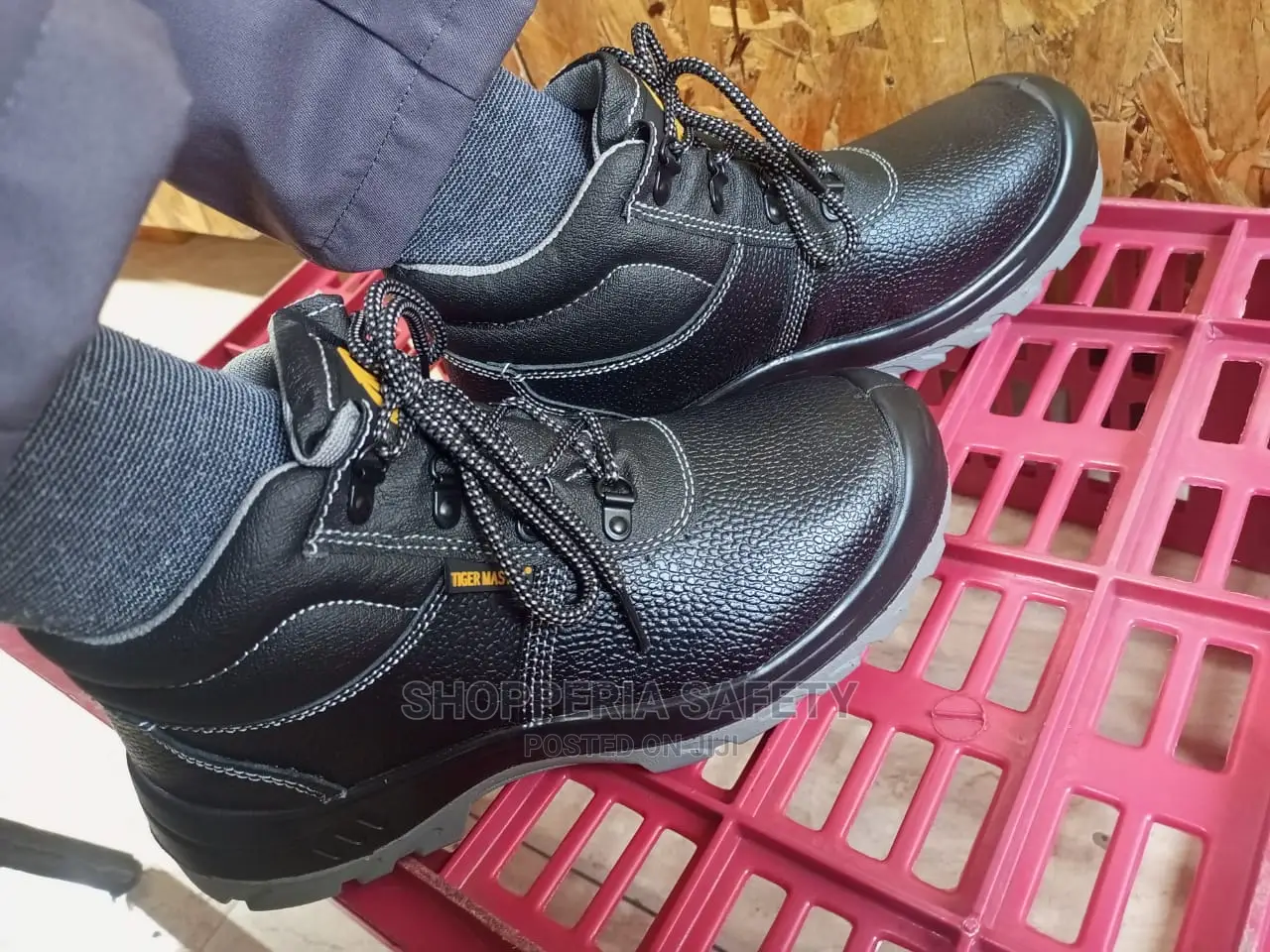 Tiger Master
