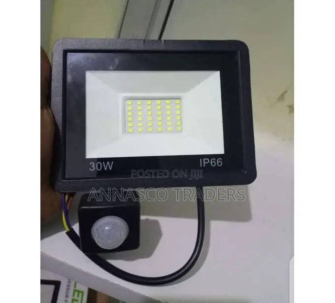 Ip Motion Sensor 30W Floodlight