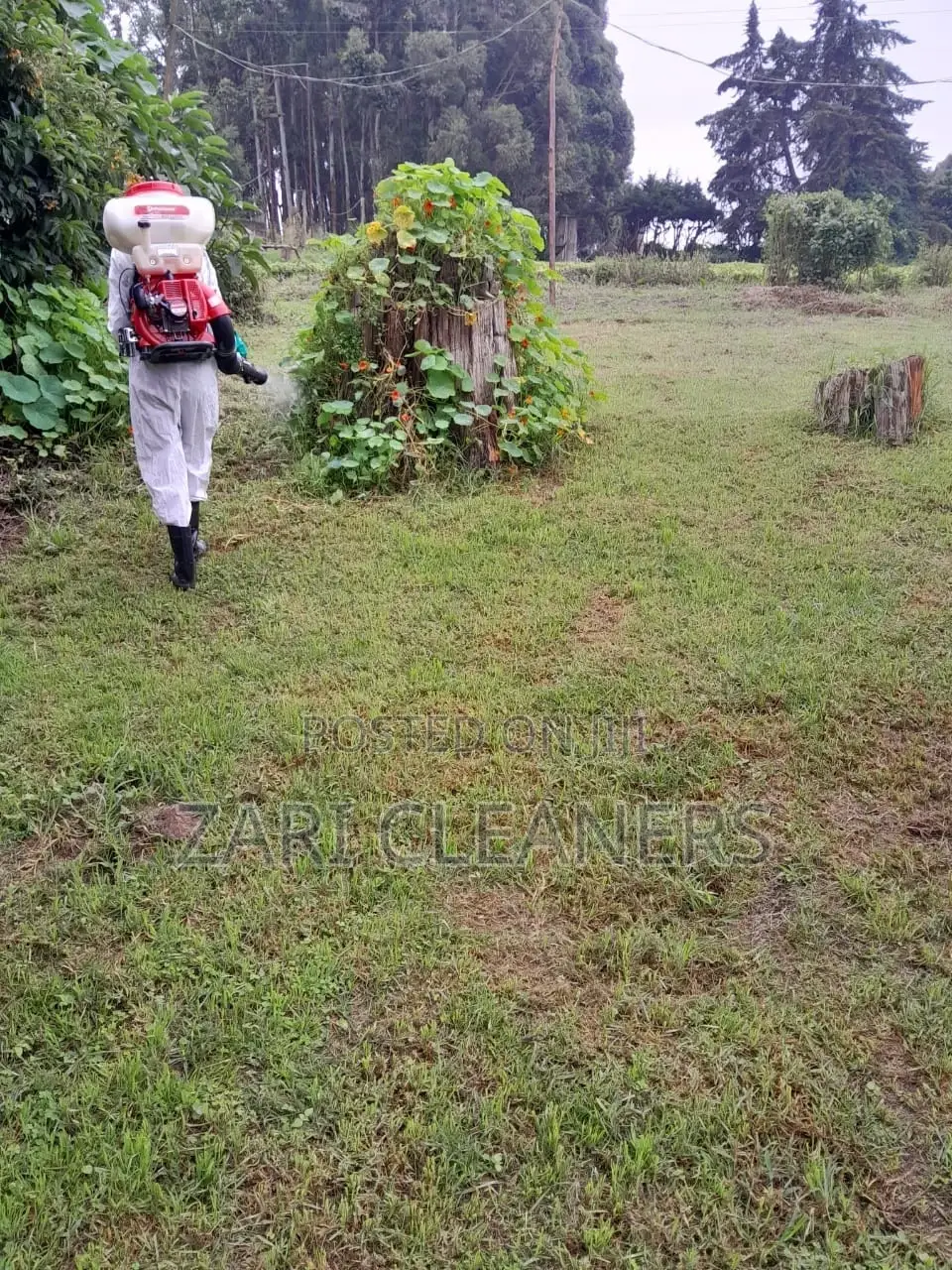 Home Compound Fumigation Services-Karen