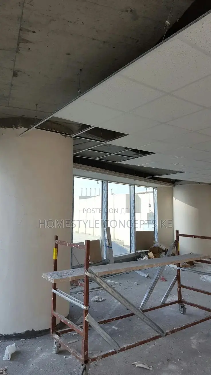 Ceilings Panels Acoustic Installation