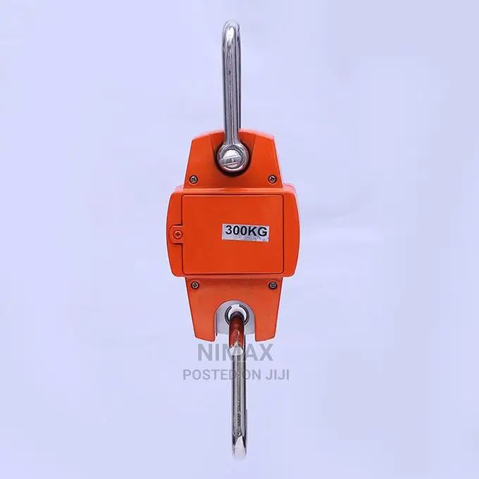 300kg Mini Crane Scale