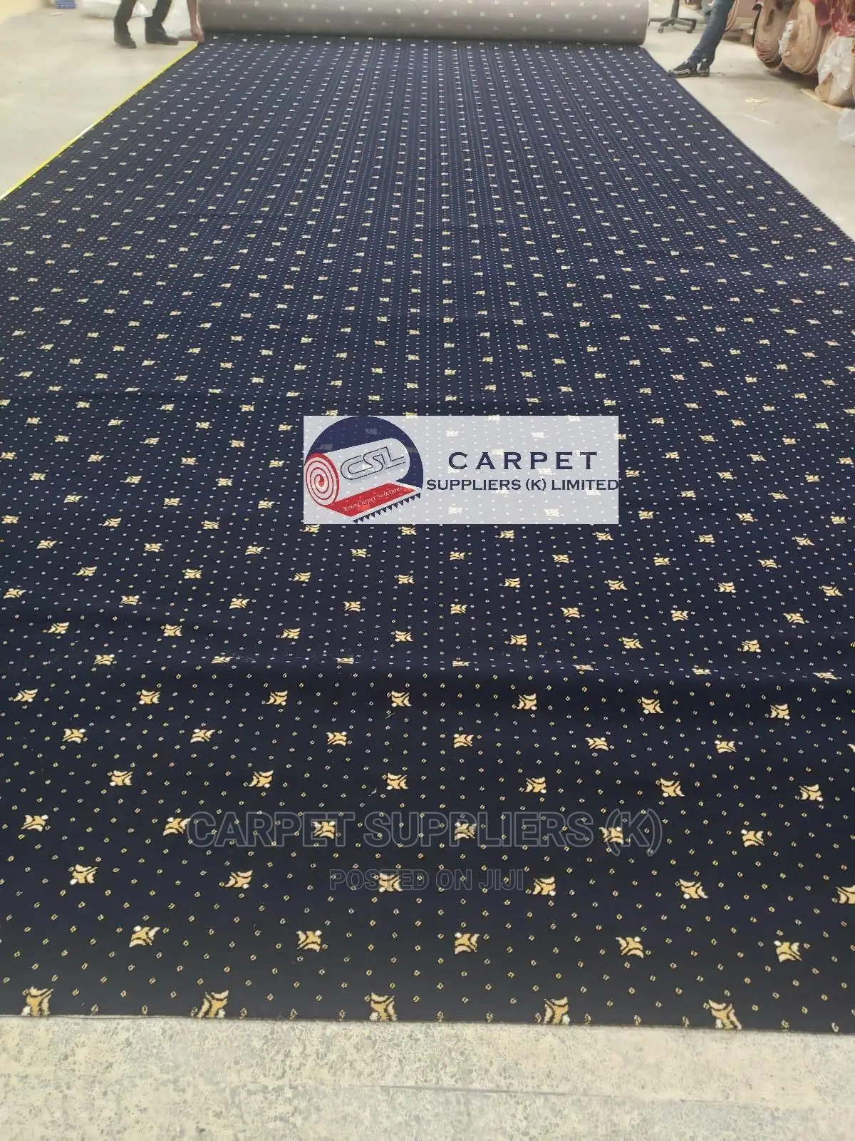 Vip Blue Carpet