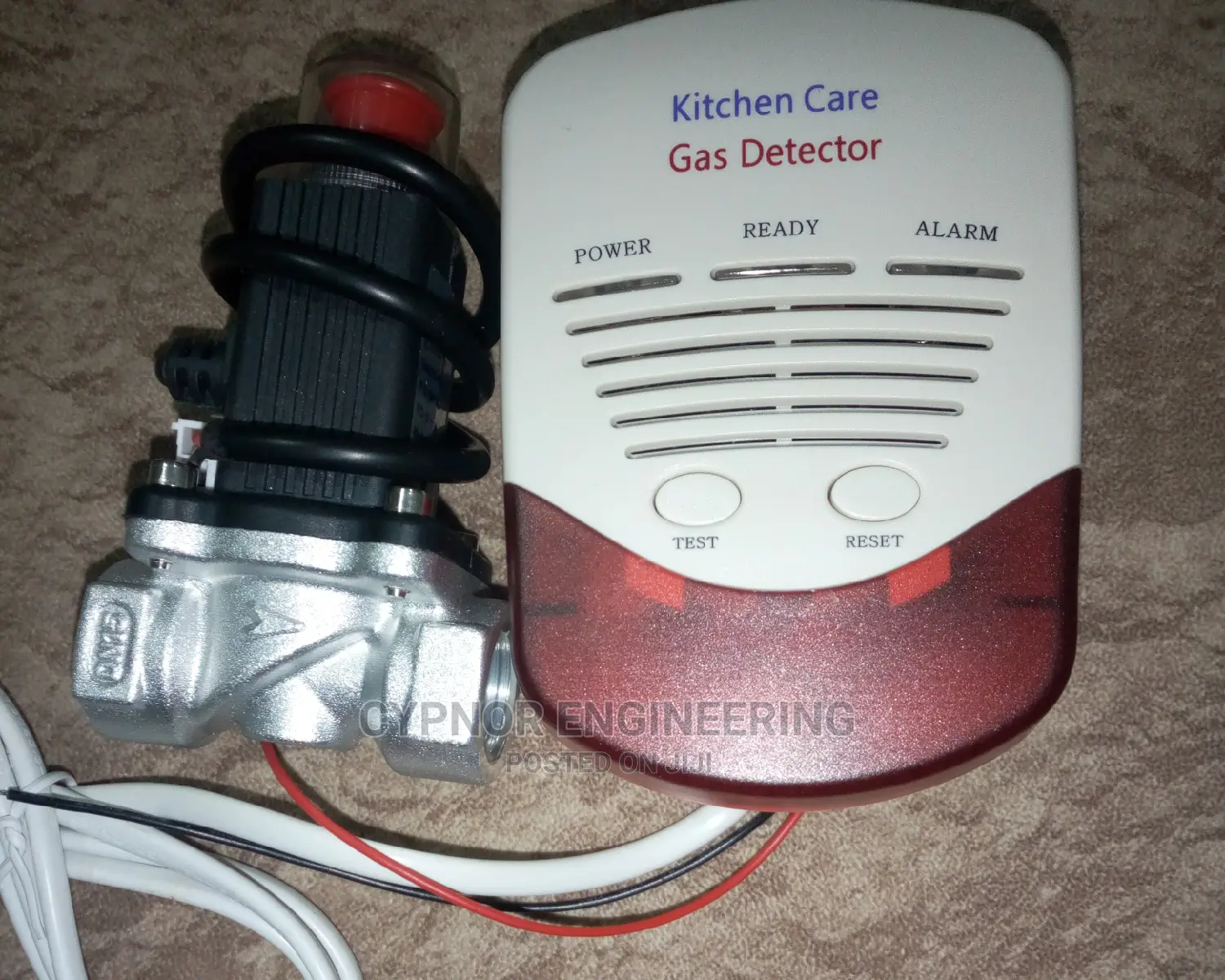 Gas and CO Leak Alarm With Valve