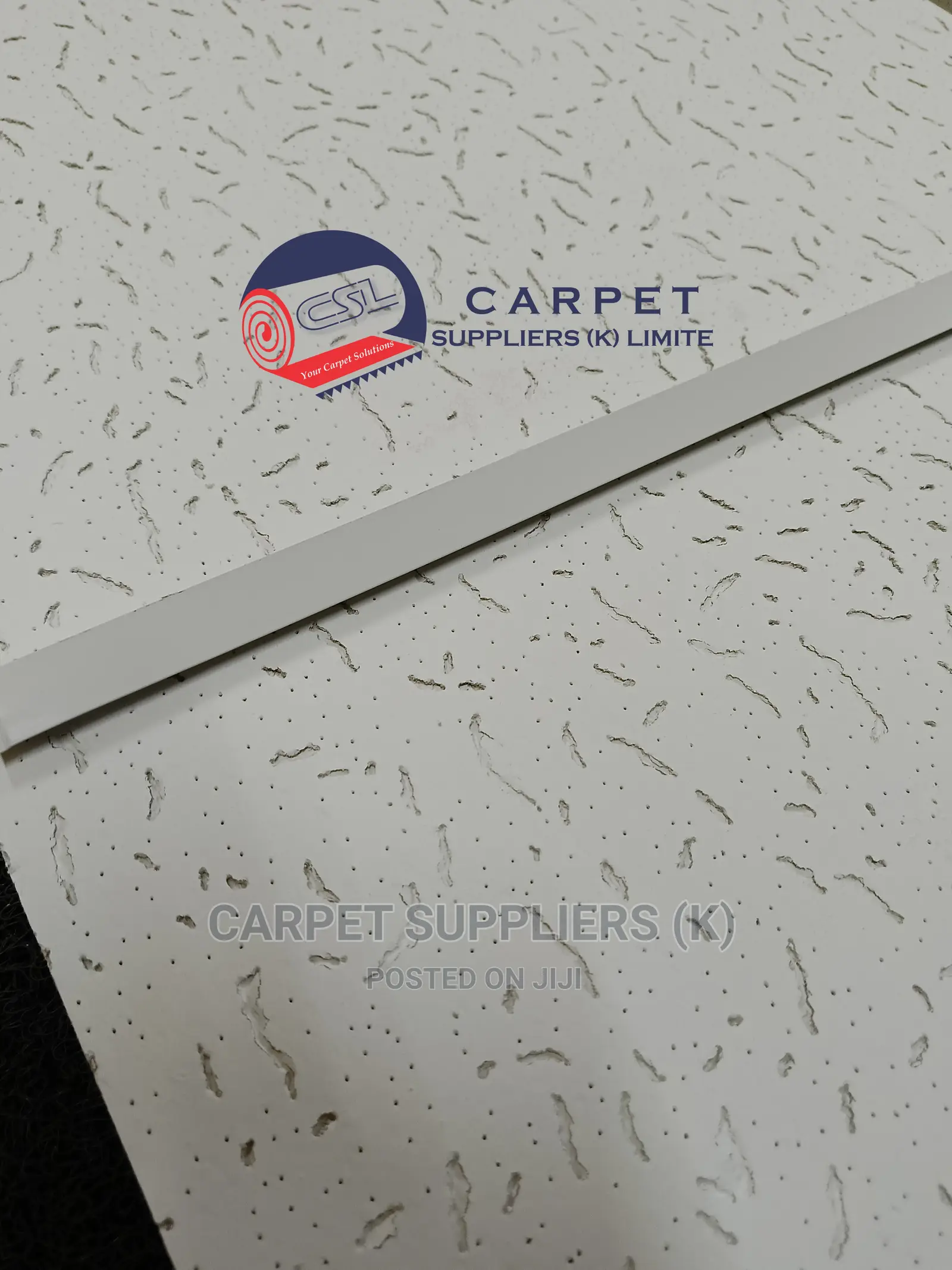 Acoustic Ceiling