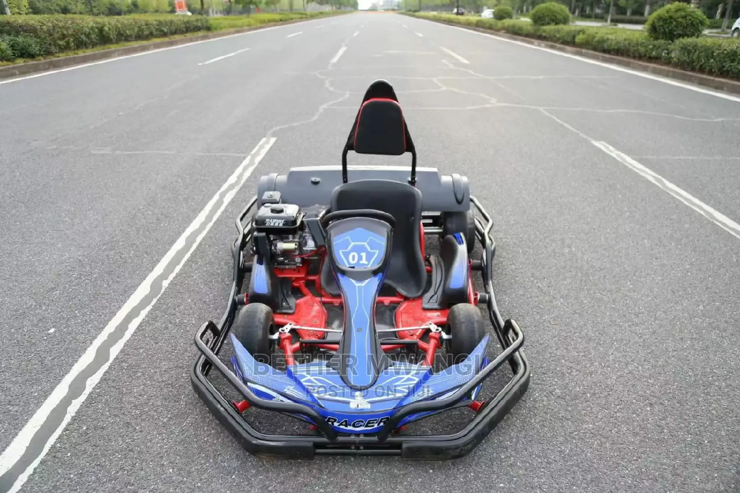 HONDA Petrol Go Karts Available in Kenya