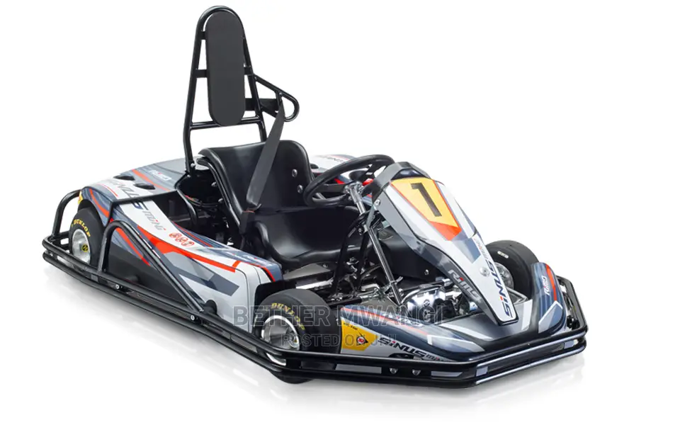 Adult/Kids Electric Go Karts Available