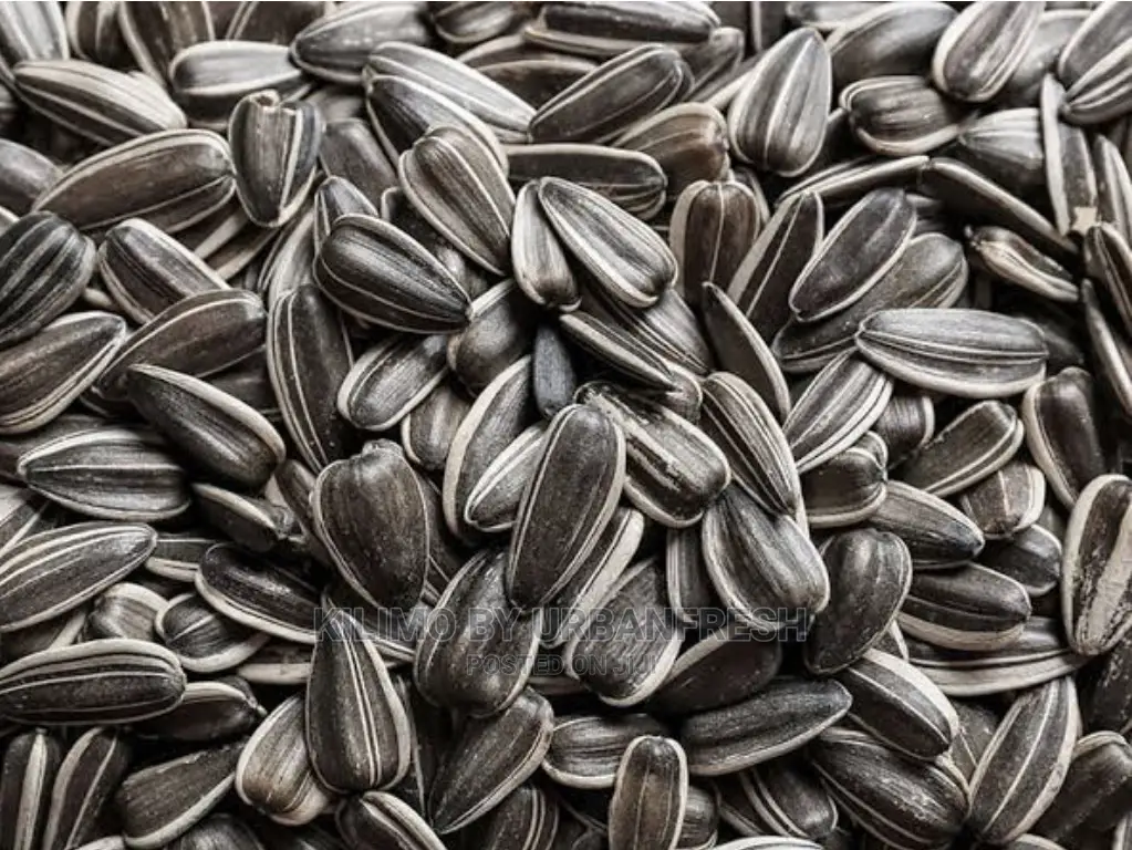 Sunflower Seed for Planting. 10 Kgs.