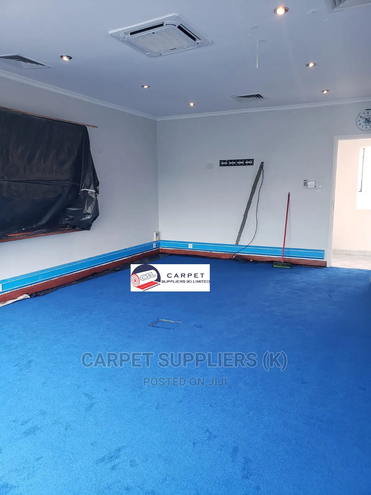 Blue Carpet Blue Carpet