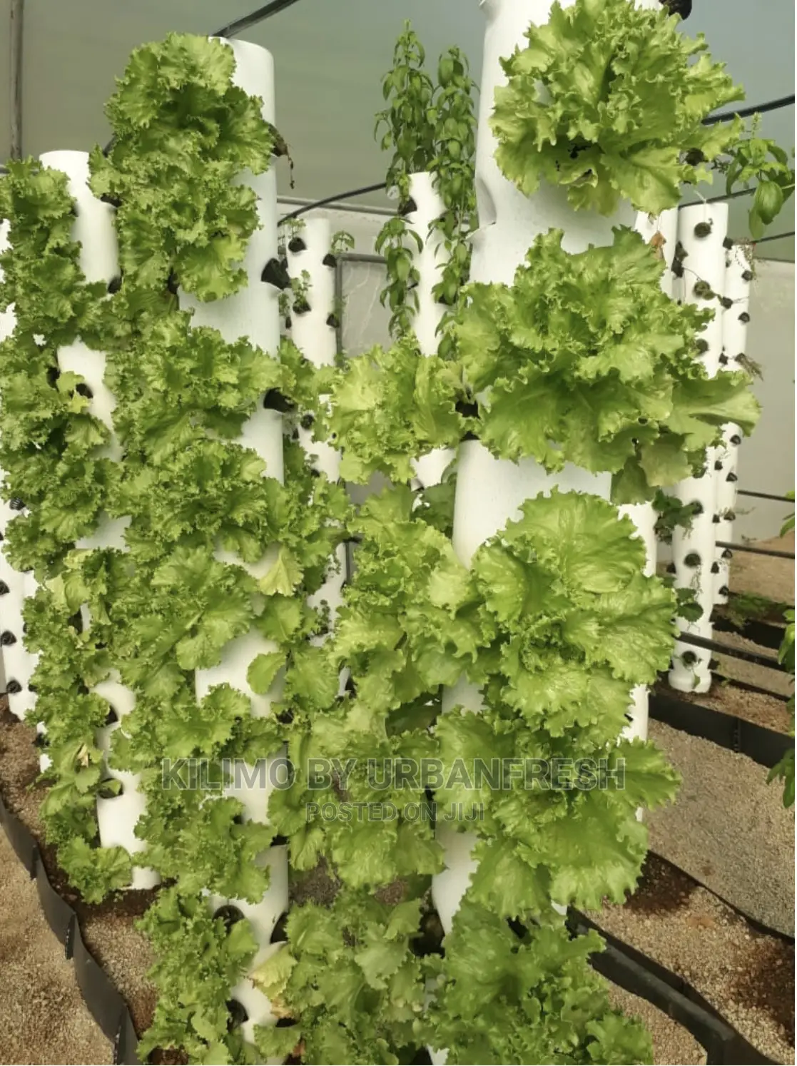 Vertical Tower Garden. Price Per Tower.