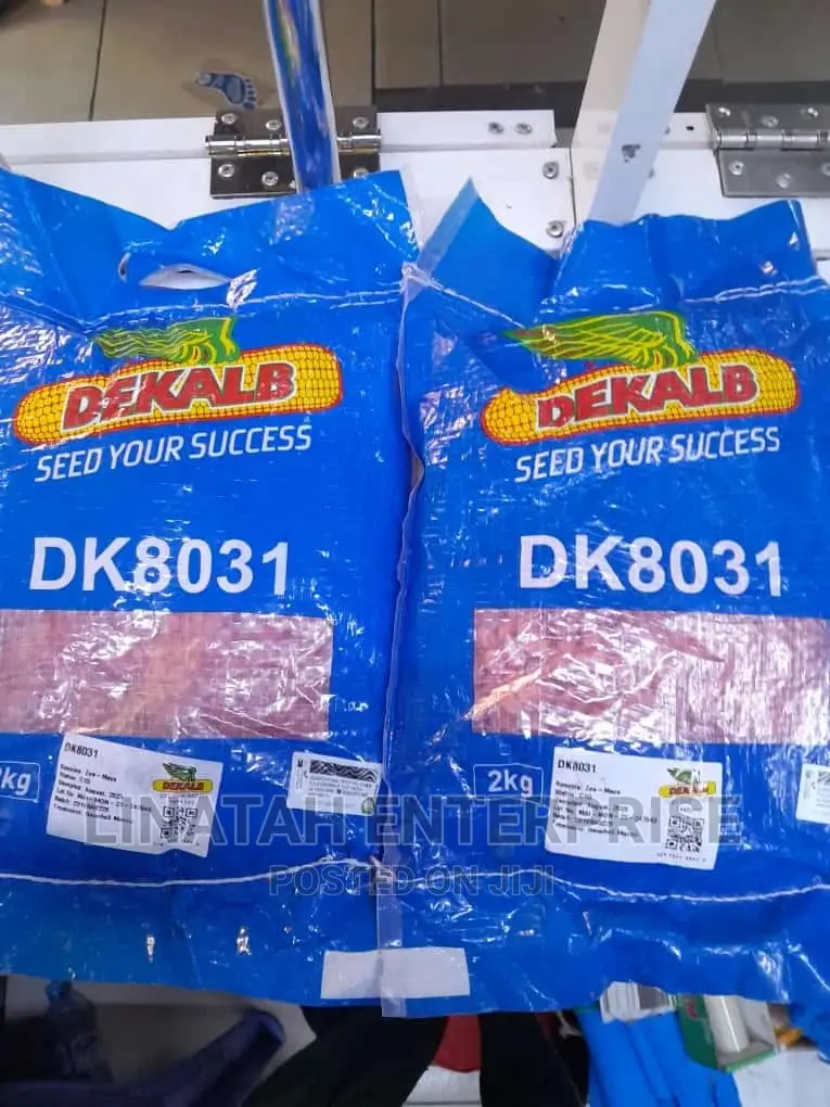 DEKALB MAIZE Seeds (Dk 8031) 2kg