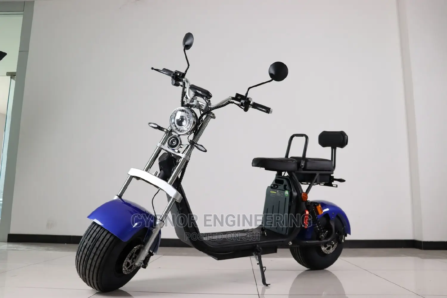 Citycoco Electric Scooter