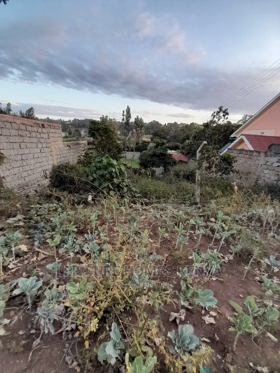 50 by 100 Residential Land