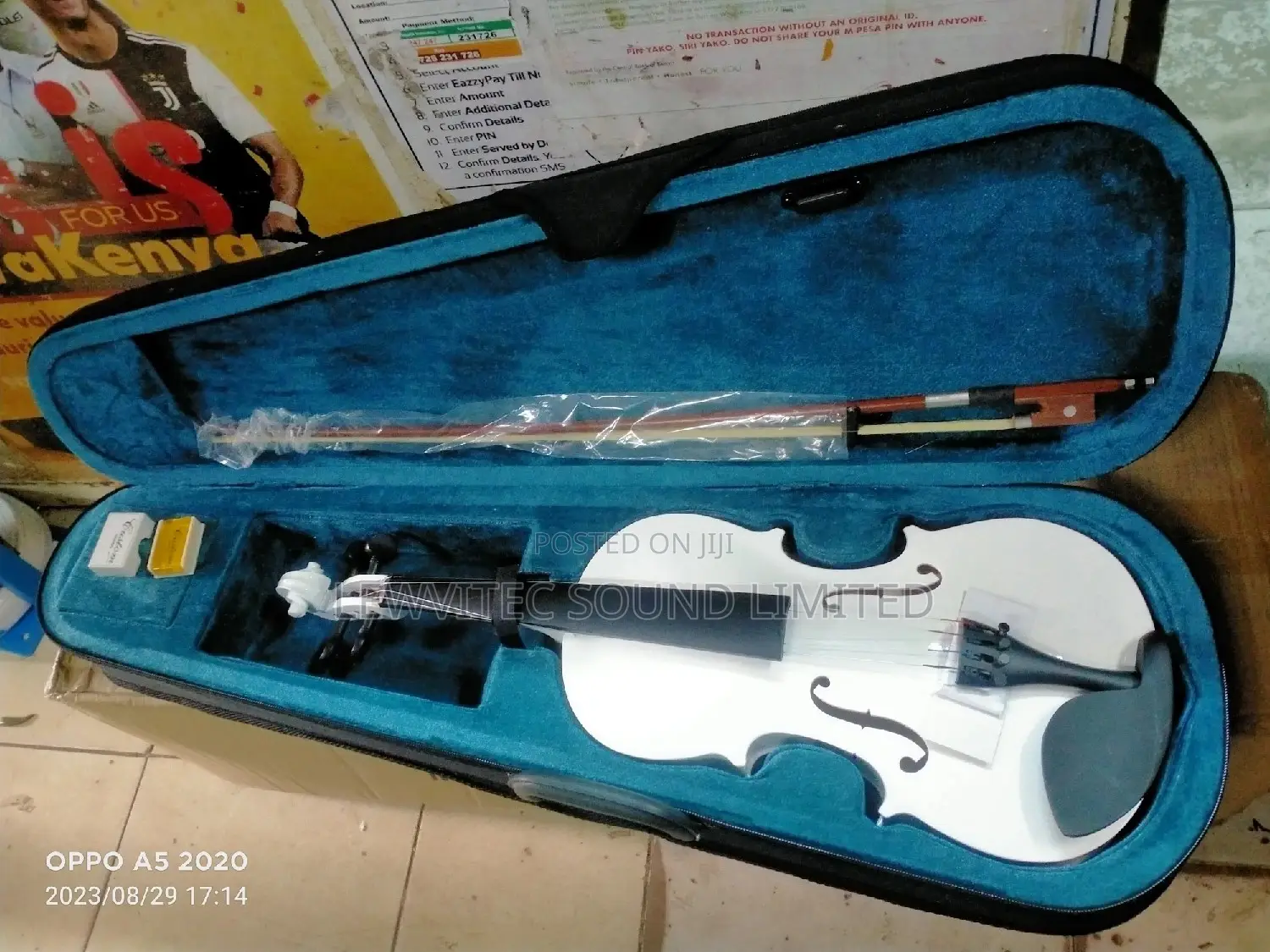 Full Size Brand Violin