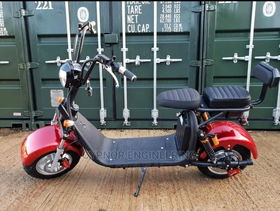 1500W Citycoco Scooter