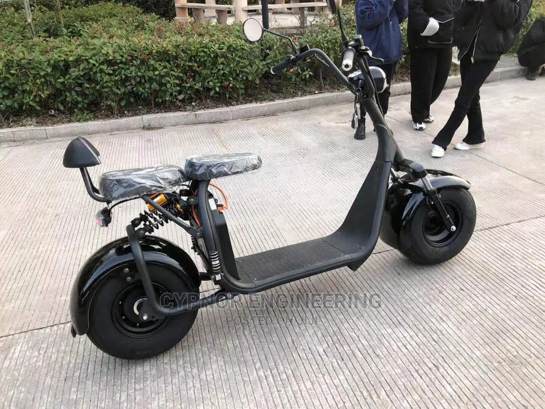 Electric Scooter With 65km Range