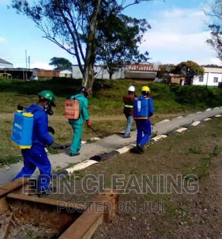 Fumigation Services Bedbugs/Cockroaches/Mosquitos