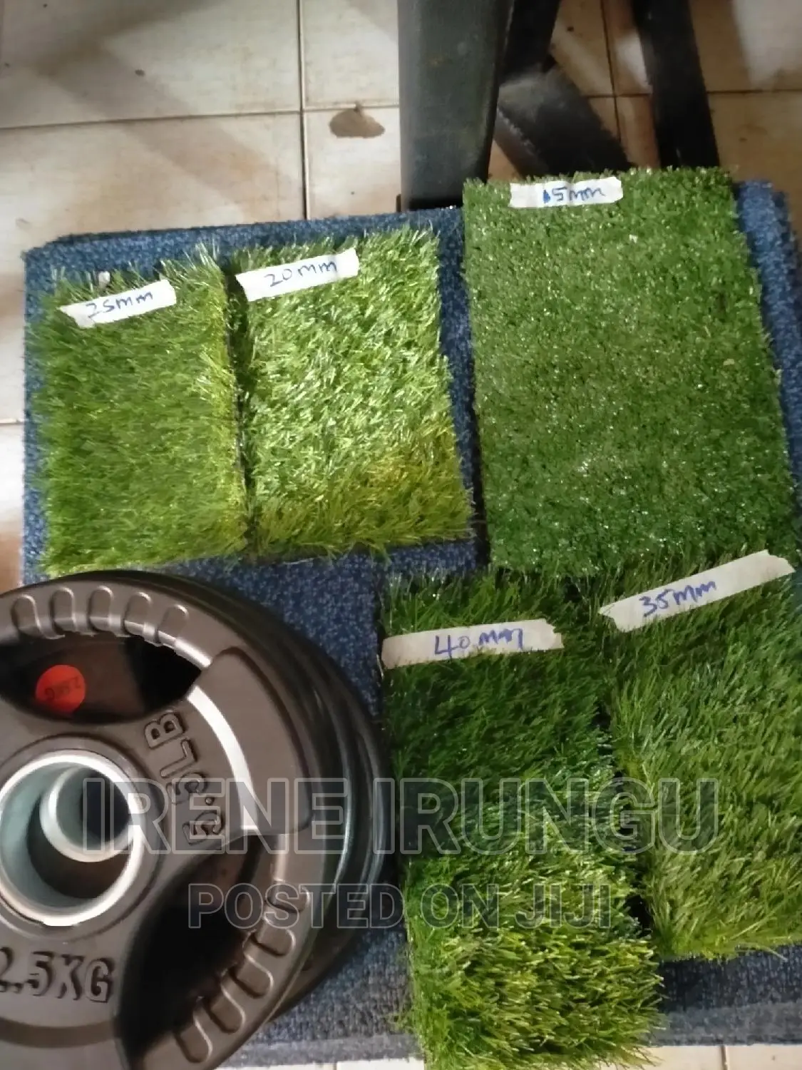 Gym Green Carpet