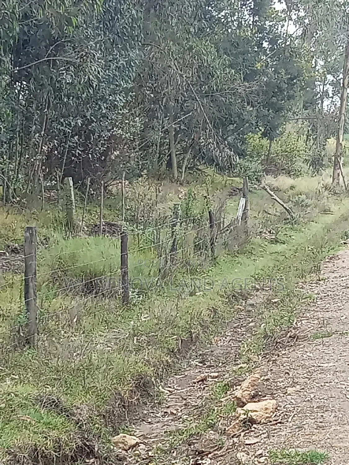 Land on Sale at Kinangop Koinange