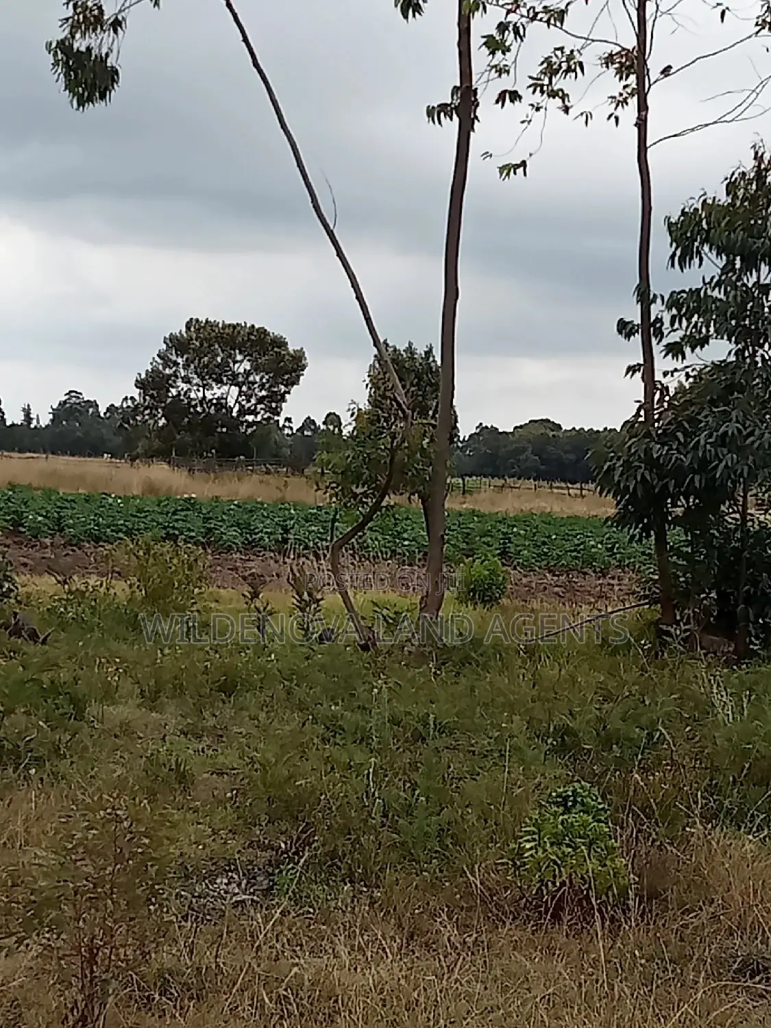 Land on Sale at Kinangop Koinange