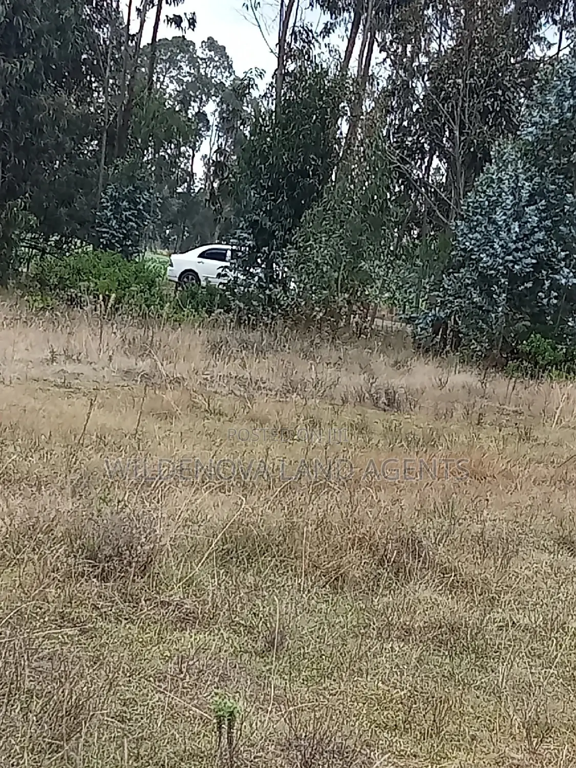 Land on Sale at Kinangop Koinange