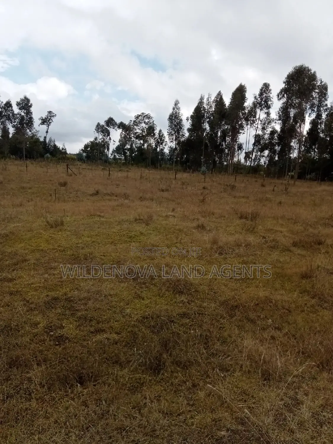 Land on Sale at Kinangop Koinange