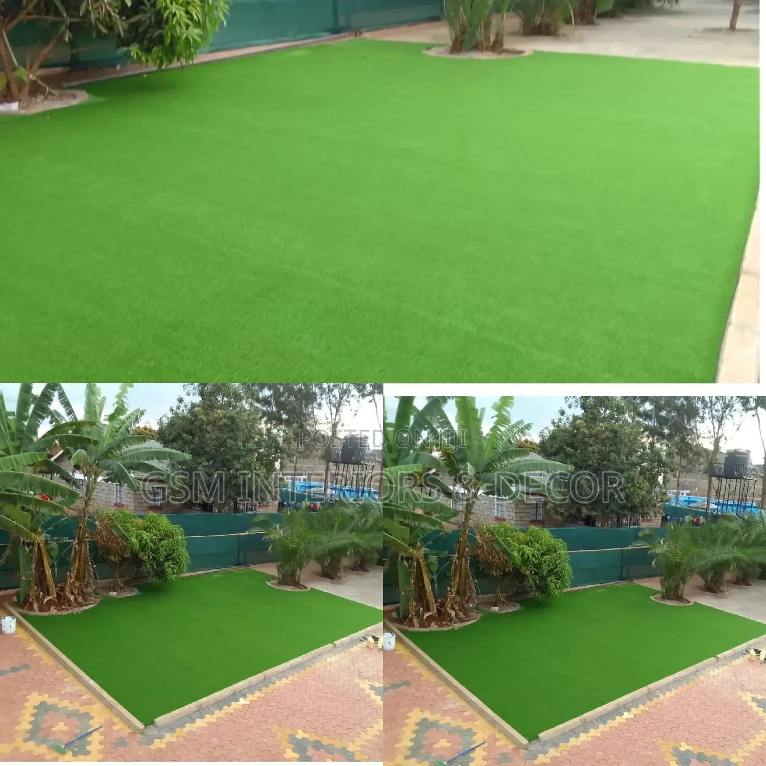 Grass Carpet Grass Carpet Grass Carpet Grass Carpet Grass