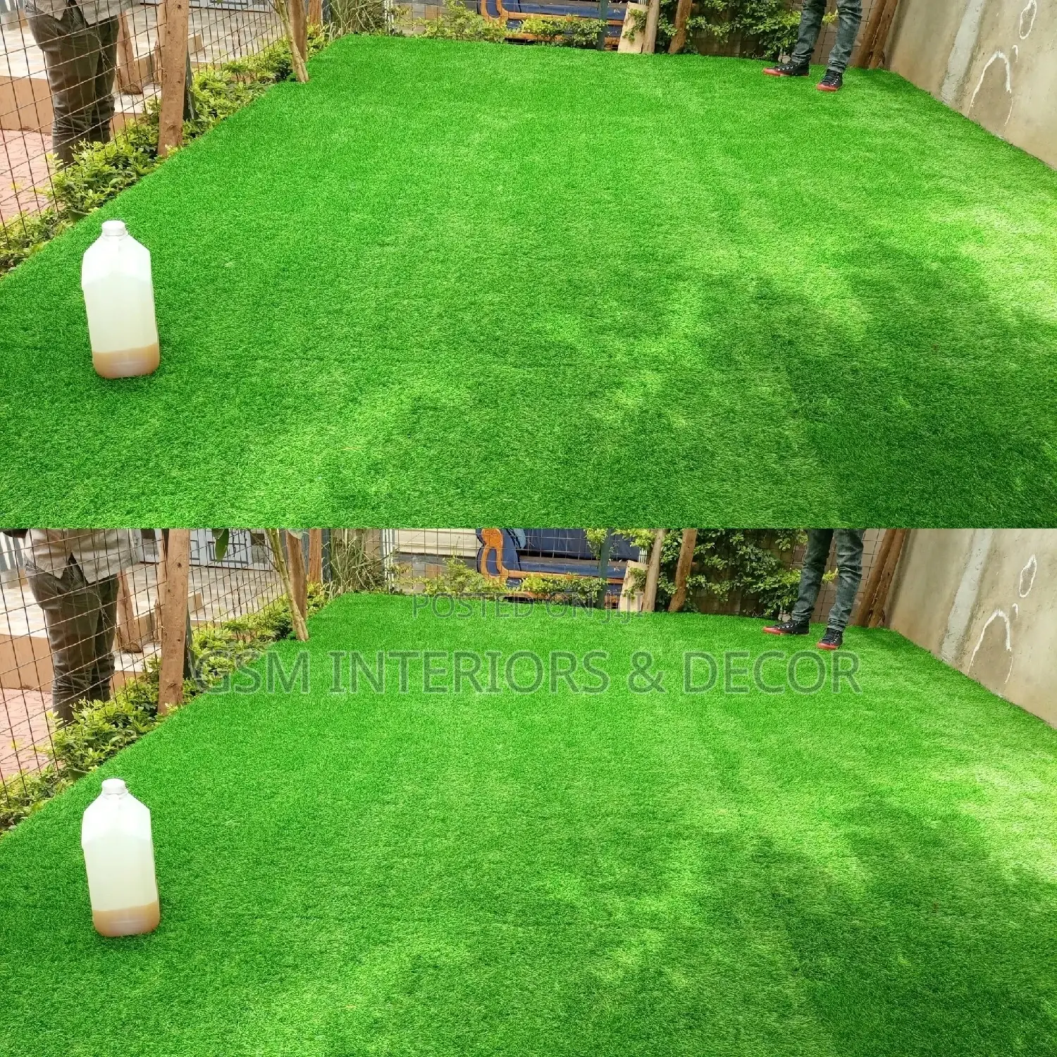 Grass Carpet Grass Carpet Grass Carpet Grass Carpet Grass