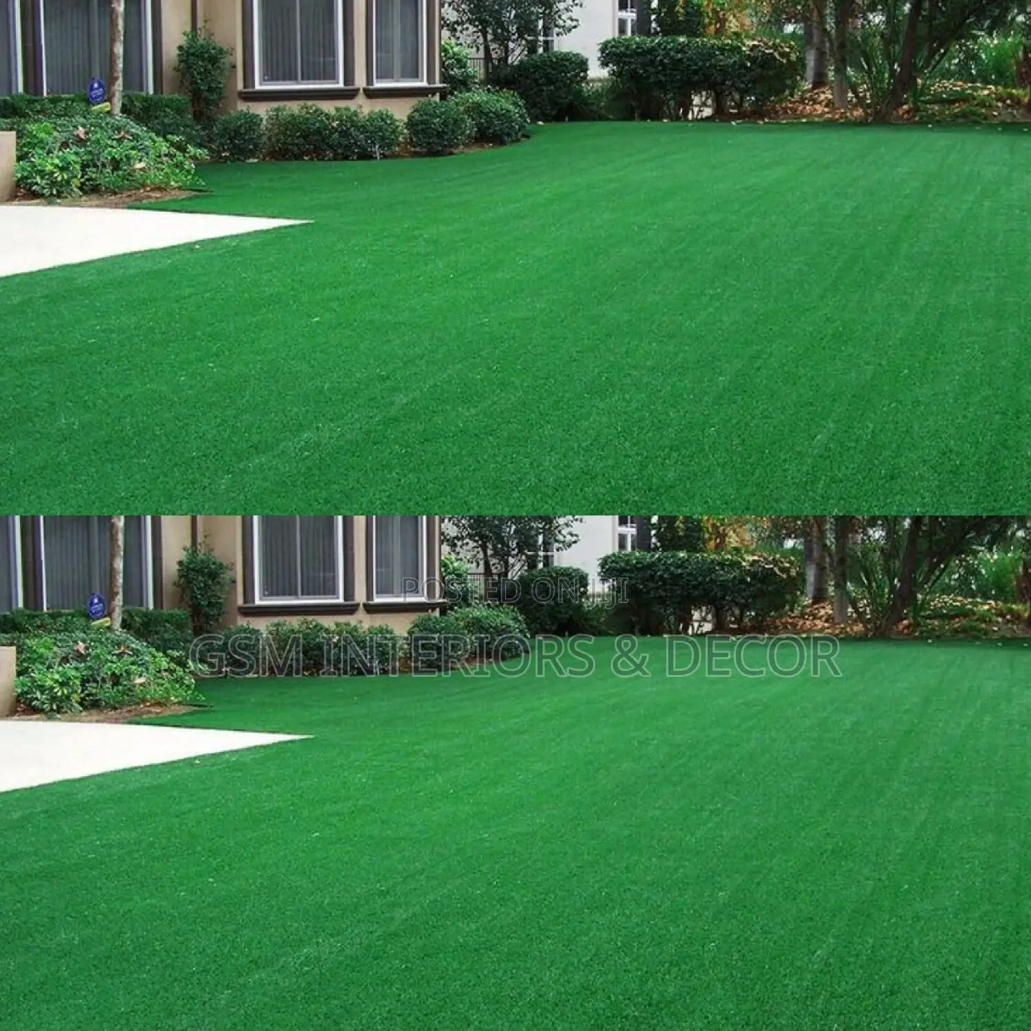 Grass Carpet Grass Carpet Grass Carpet Grass Carpet Grass