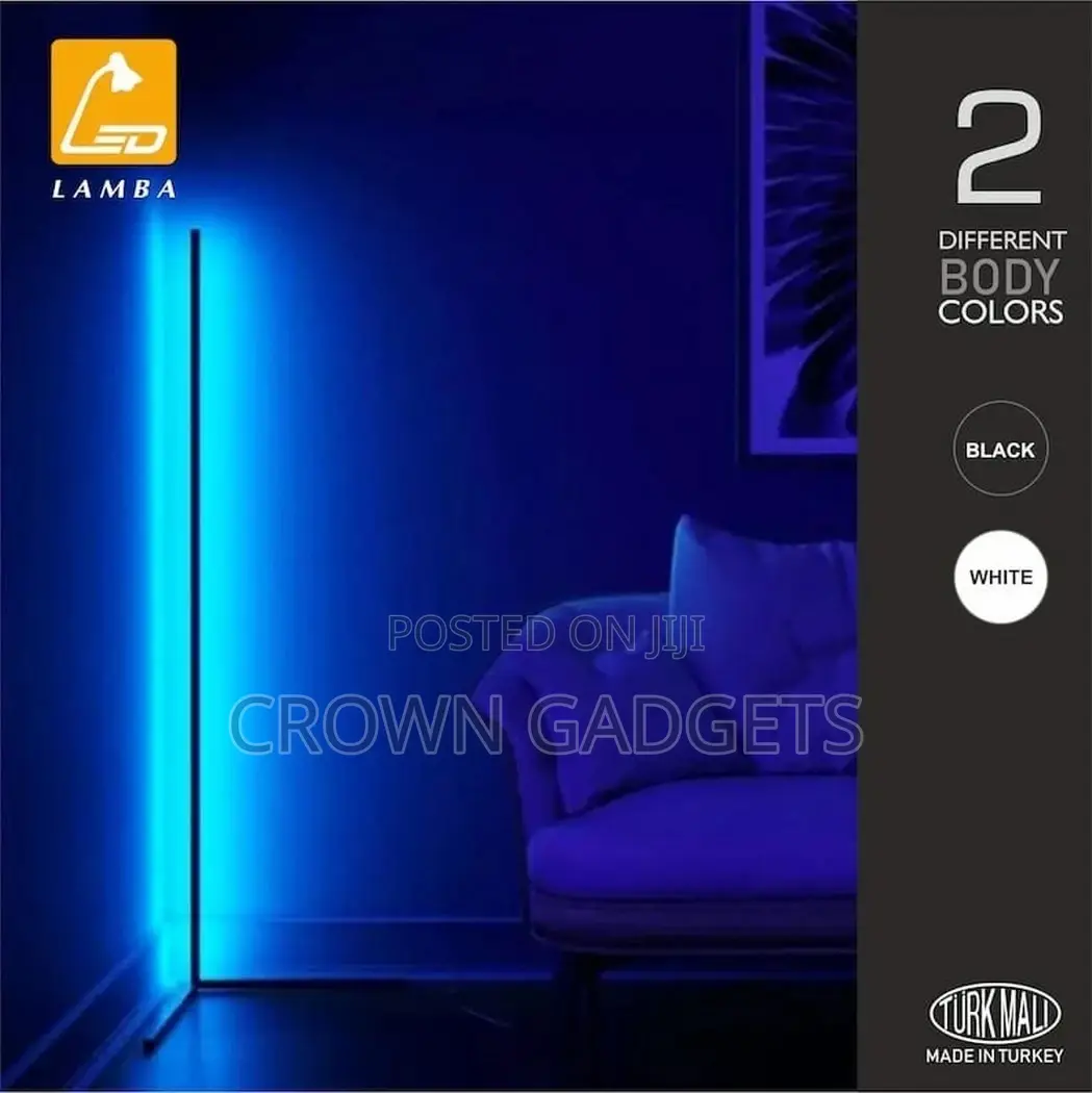 Smart Corner Floor Lamp