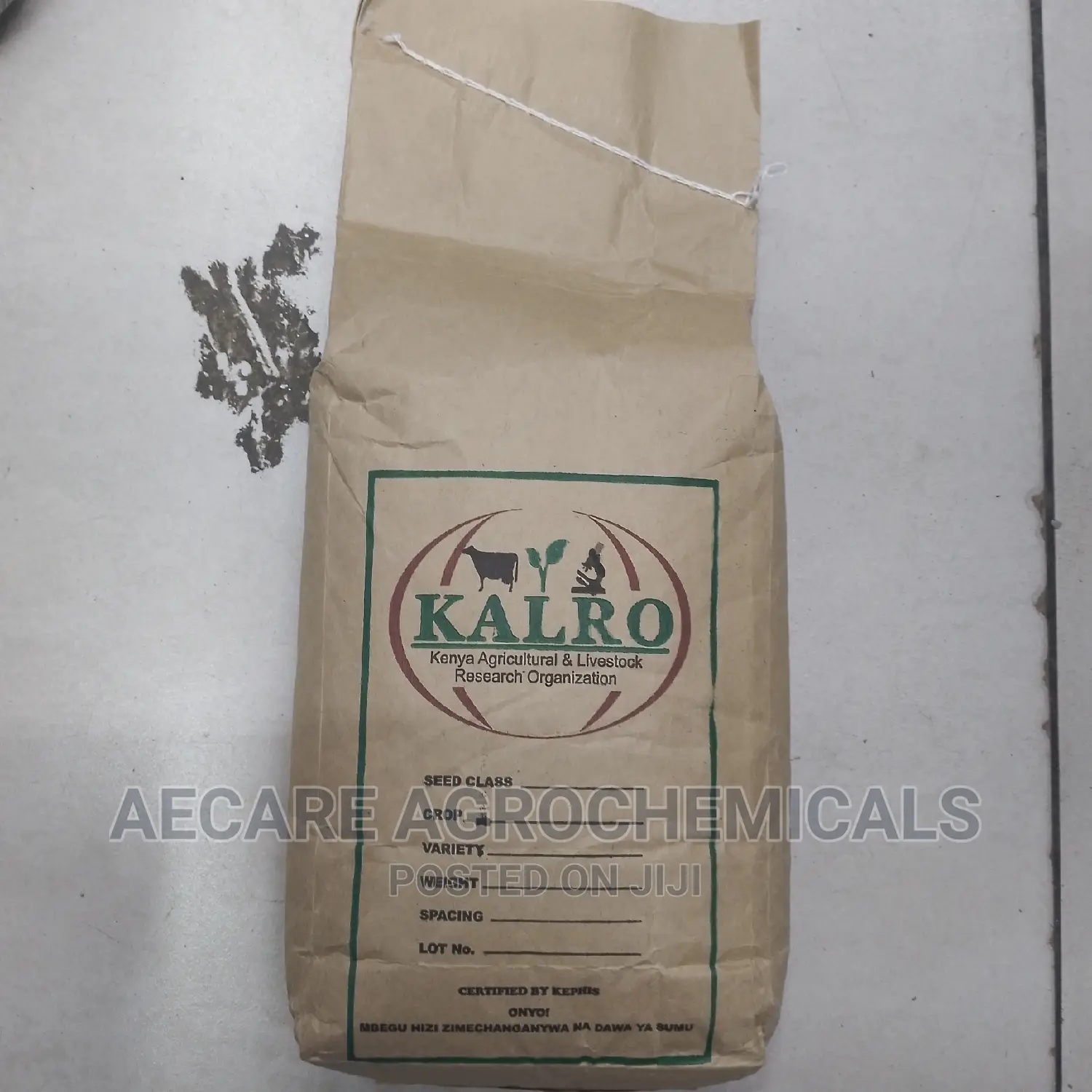 Yellow Beans Seeds 2kg (Kalro) KAT B1
