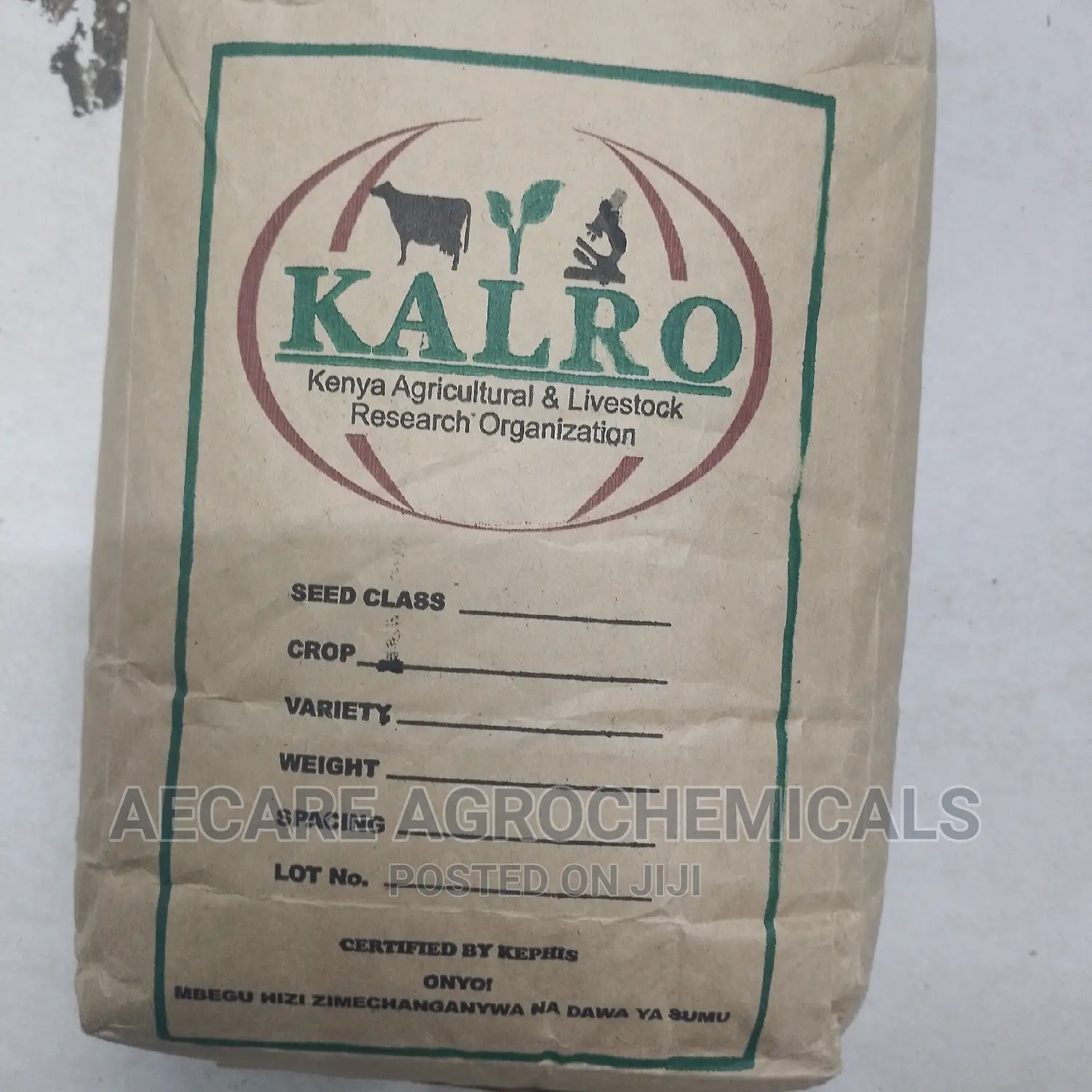 Yellow Beans Seeds 2kg (Kalro) KAT B1
