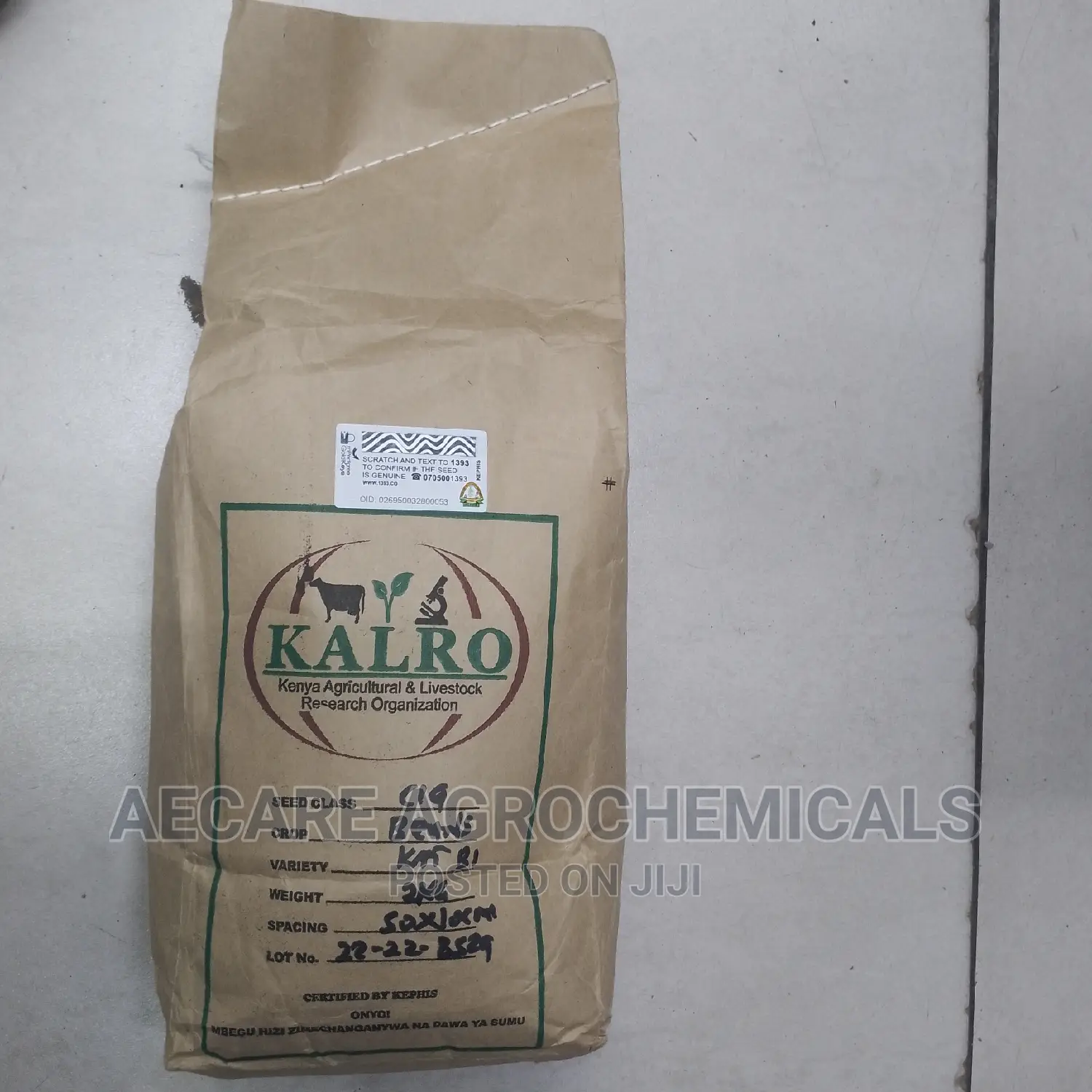 Yellow Beans Seeds 2kg (Kalro) KAT B1