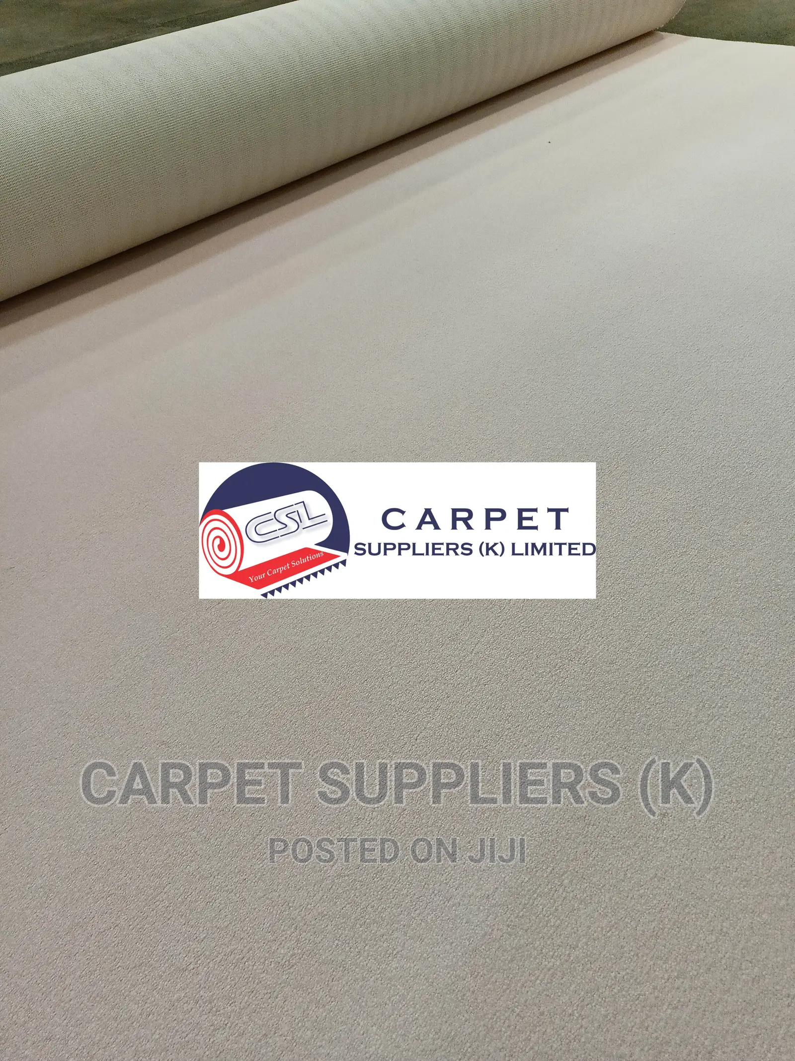 White Wall to Wall Carpet