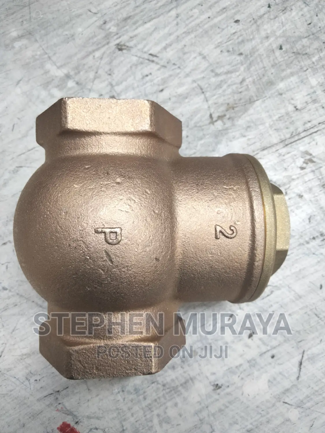 2" Pegler Non Return Valve