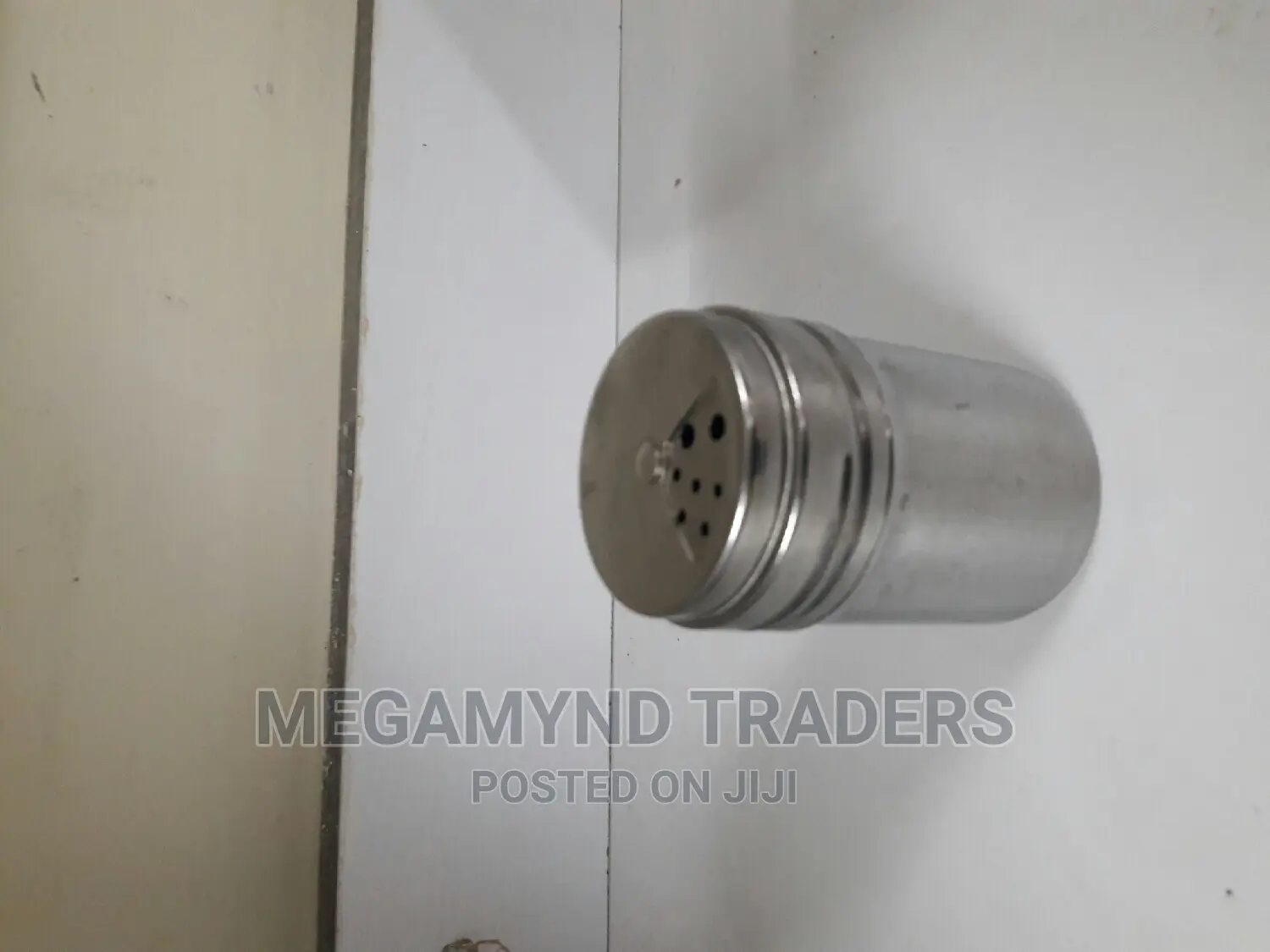 Stainless Steel Salt Shaker/Salt Shaker
