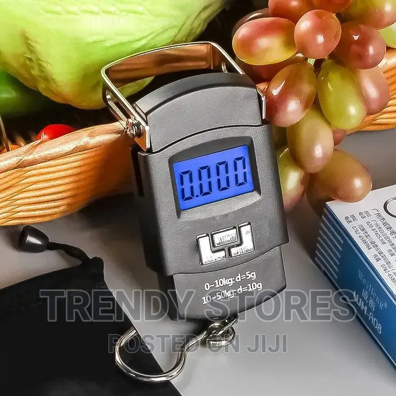 50kg Portable Hanging Scale