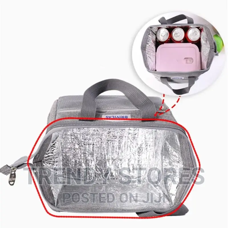 Other Portable Insulated Lunch Bags