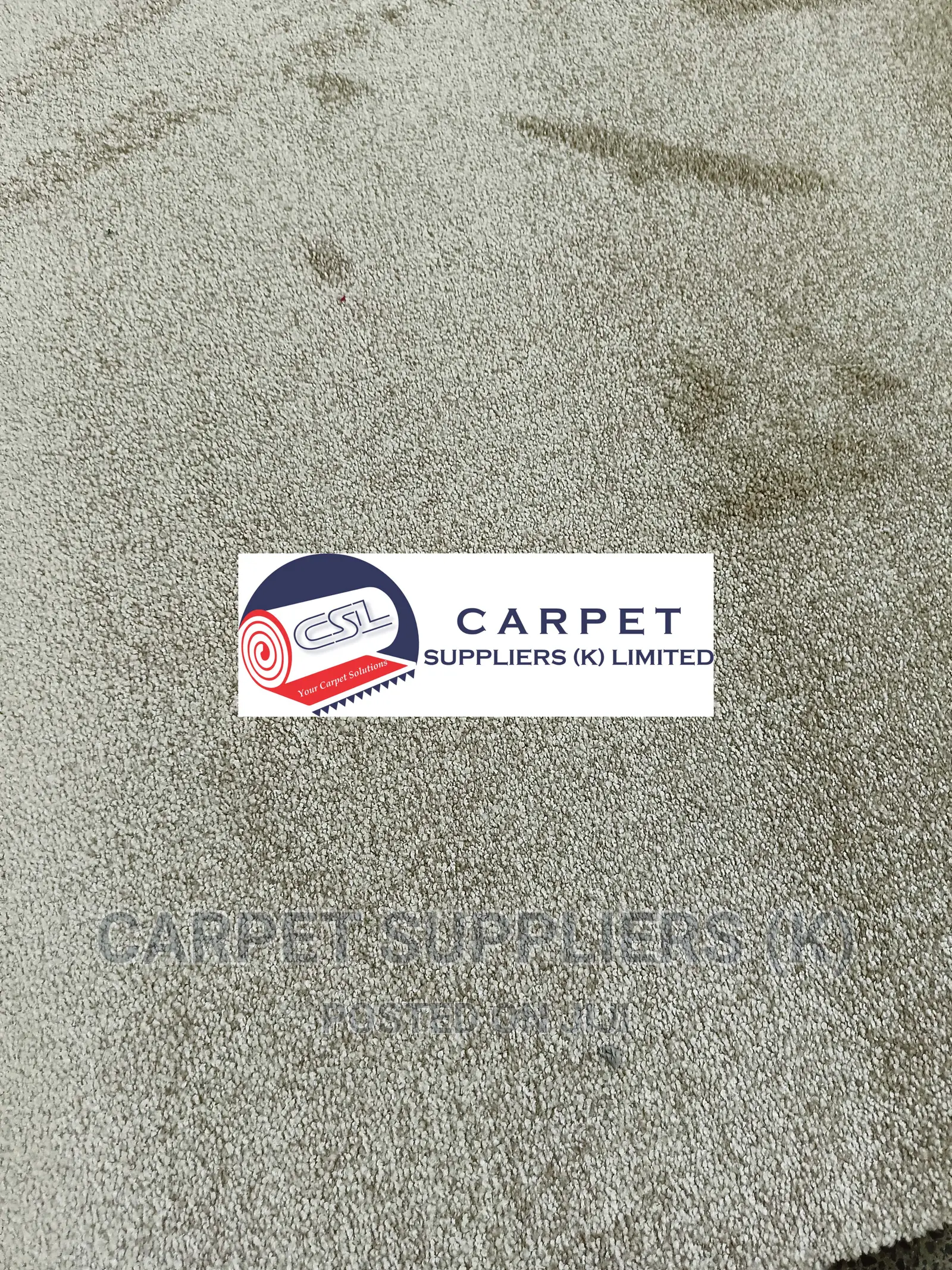 Grey Carpets Grey Carpetsgrey Carpetsgrey Carpets