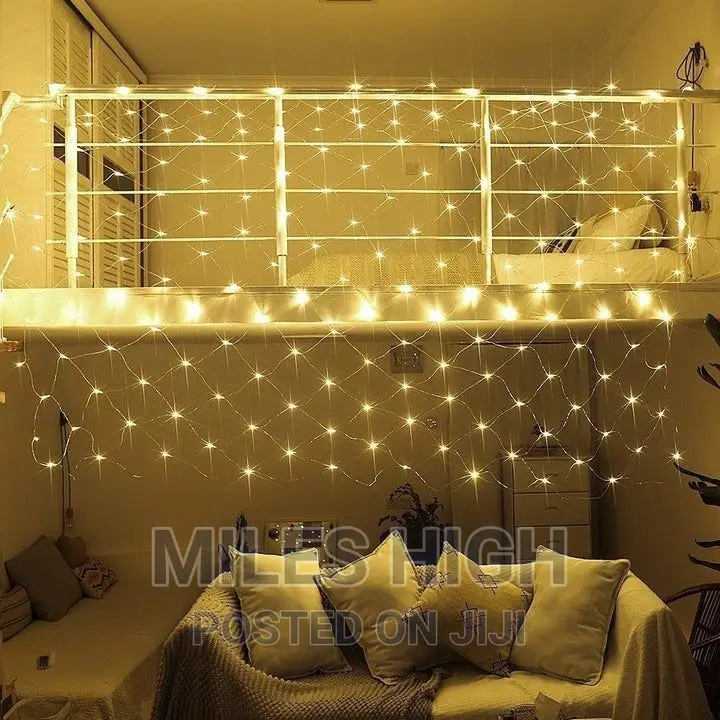 Beautiful Net Lights