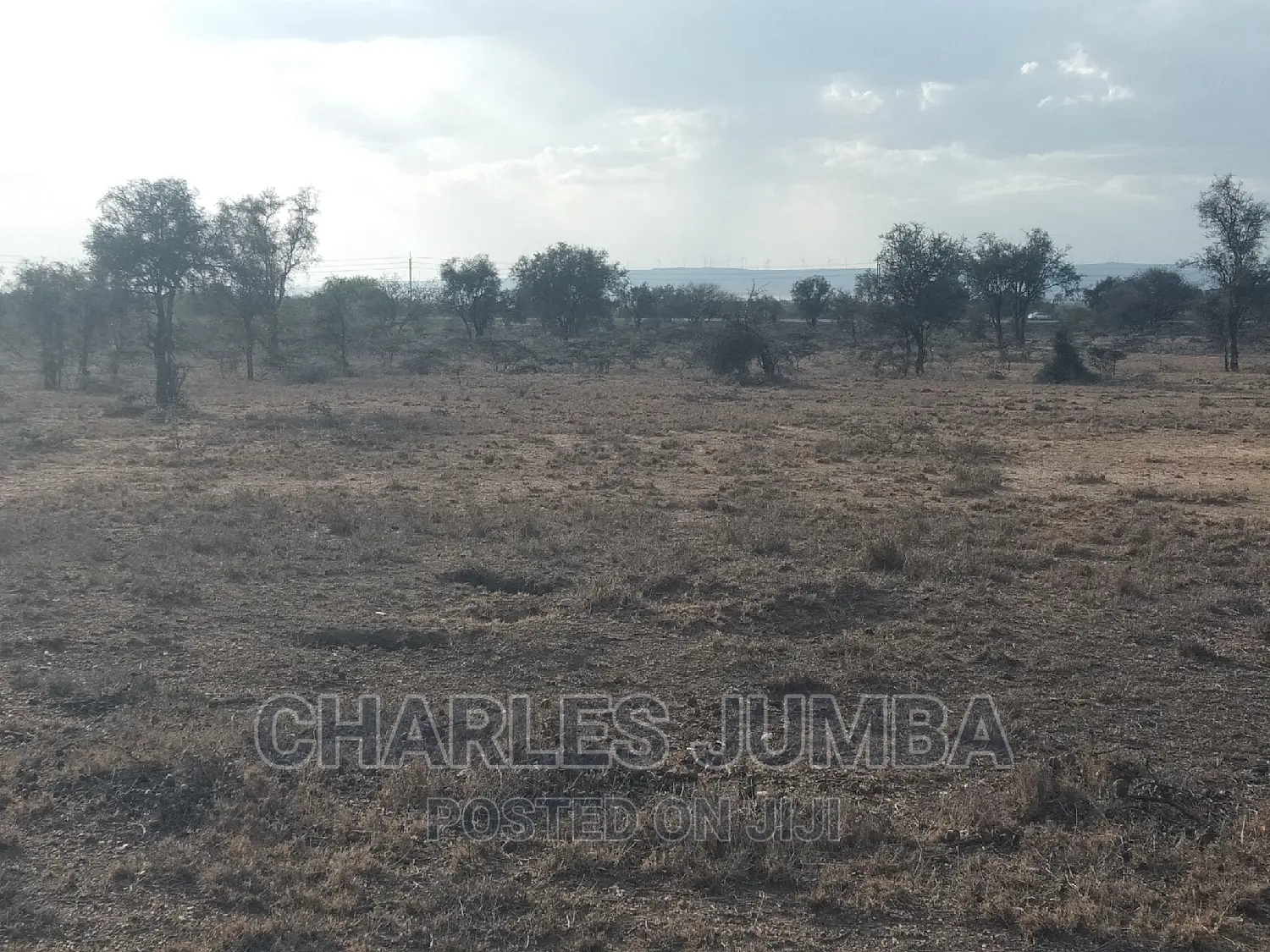 Prime 1/8 Plots Near Umma University.