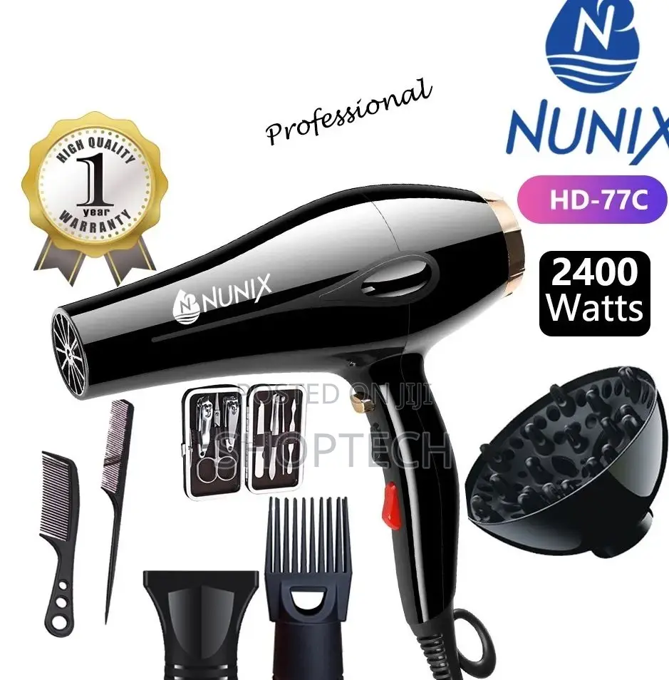 HD 77 Professional Hair Dryer