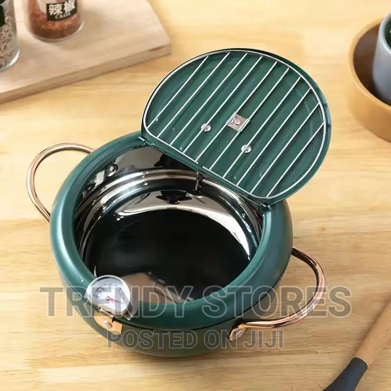 Nordic Green Coloured 3.4L Frying Pot With Thermometer
