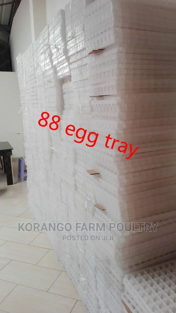 88 Eggs Tray 