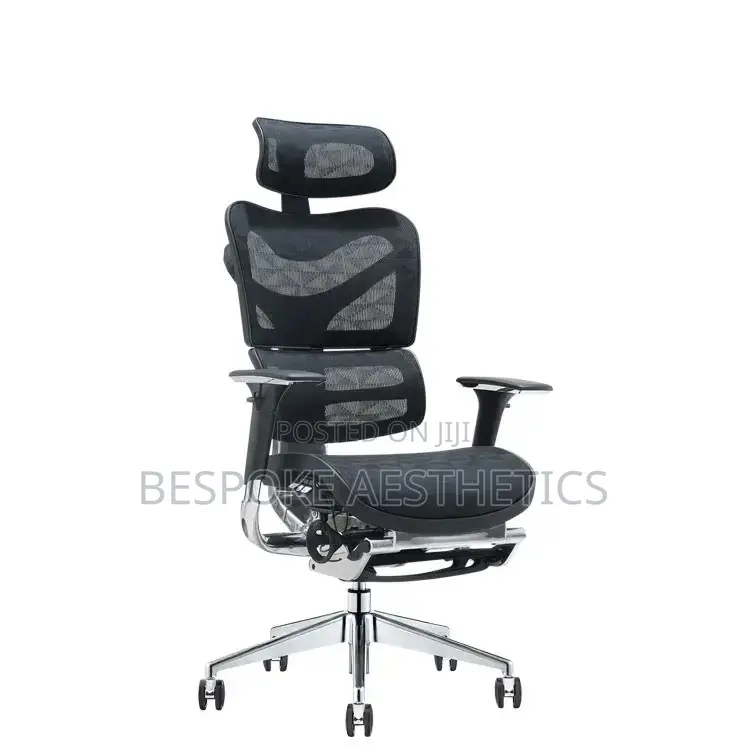 Executive Ergonomic Mesh Office Chair, With Foot Rest